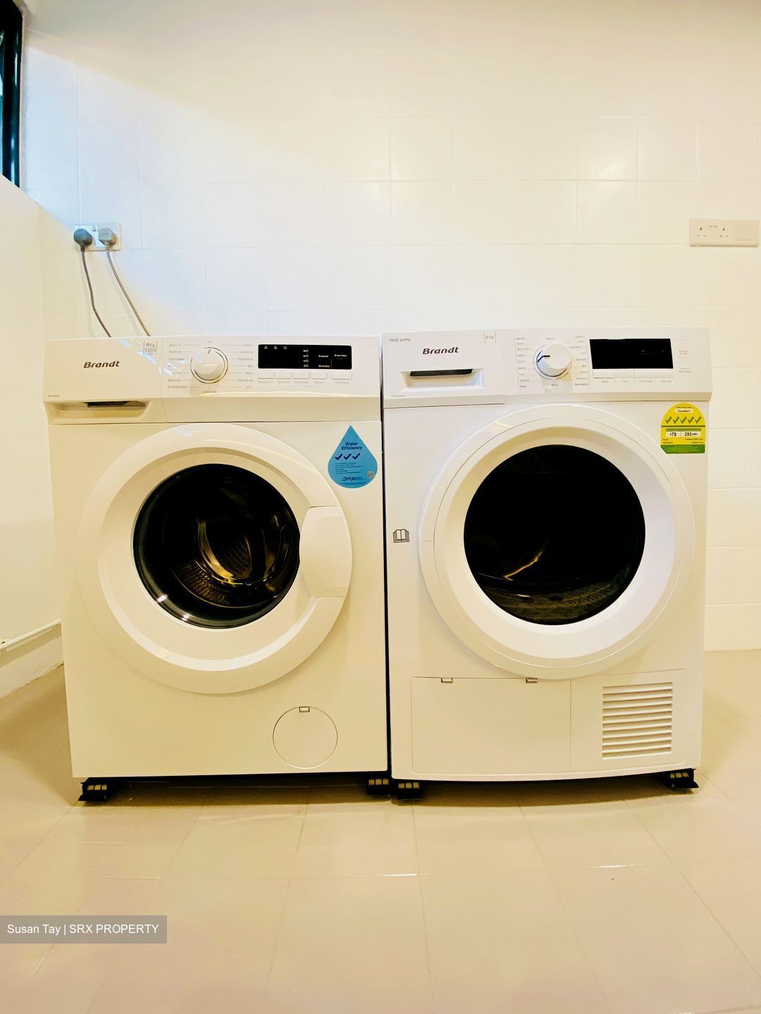 Joo Chiat Place (D15), Apartment #408786321